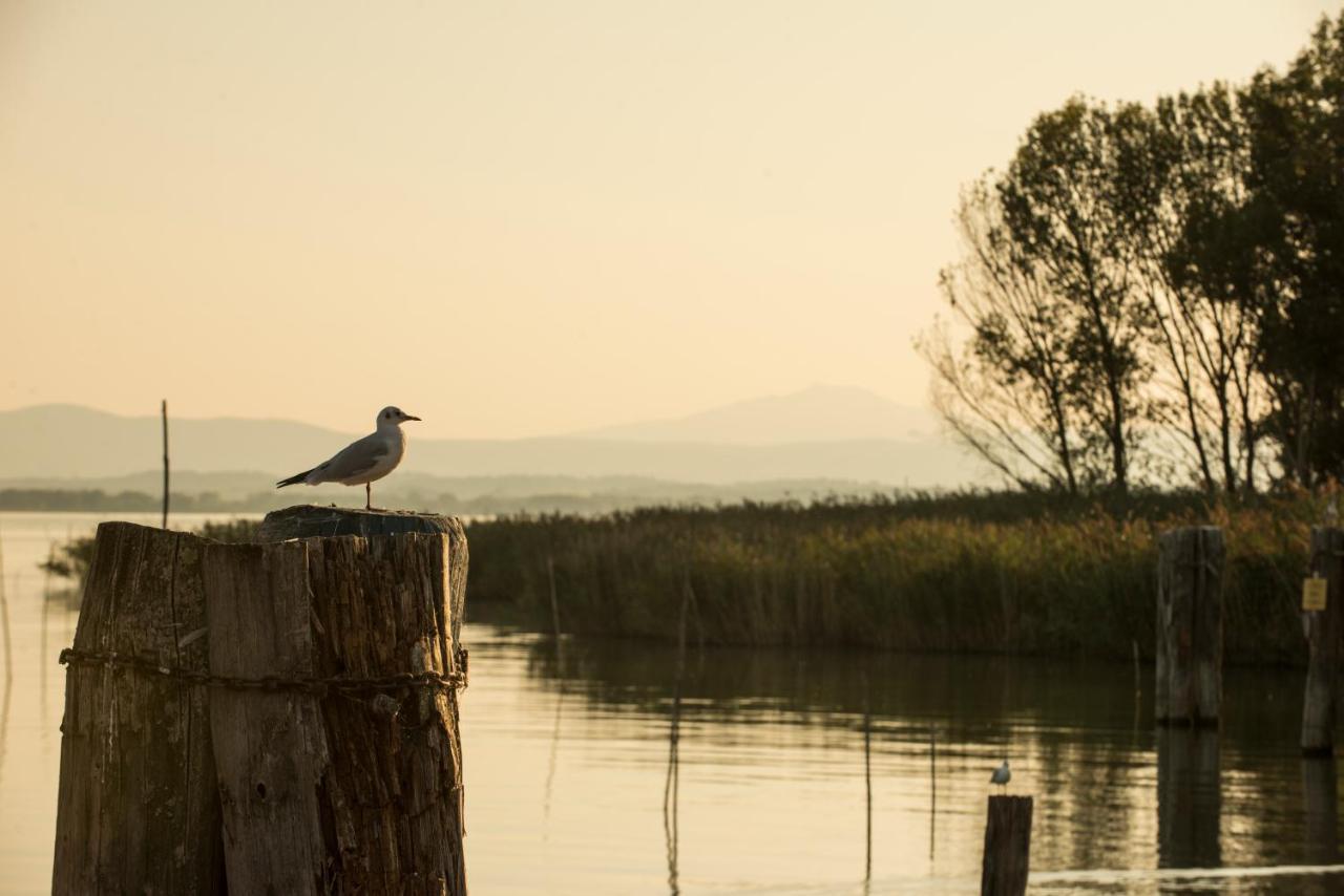 Isola Polvese Resort Castiglione del Lago Bagian luar foto