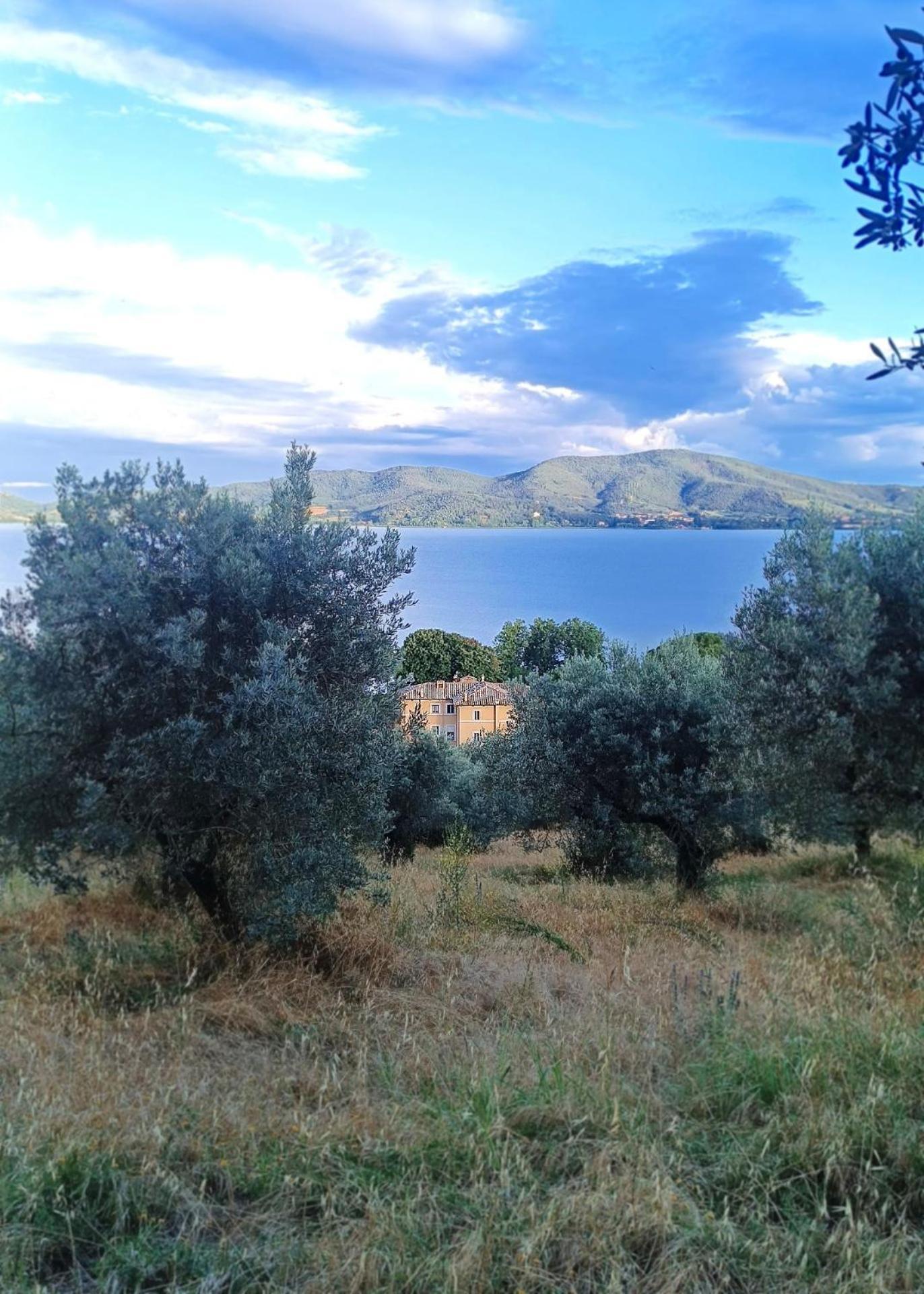 Isola Polvese Resort Castiglione del Lago Bagian luar foto